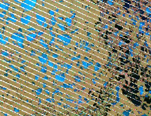 Dropped lines Dropped lines